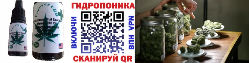 Canna-Cookies марихуана кракен как зайти Озёры