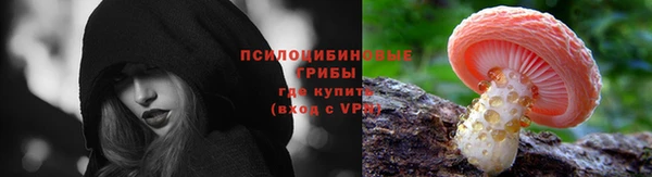 молекула духа Баксан