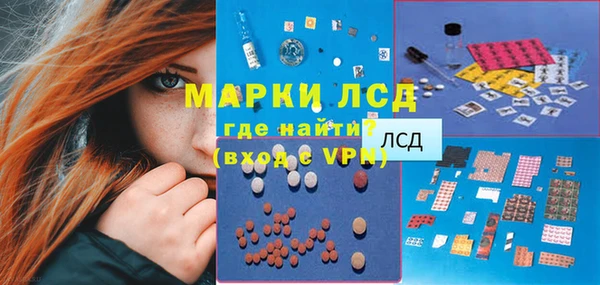 крисы Аркадак